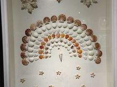 -青岛贝壳博物馆