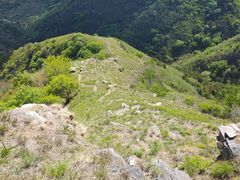 -阳台山自然风景区