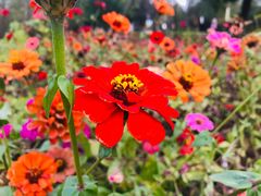 -盘龙城国家考古遗址公园