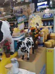 -孩子王童乐园(鹏瑞利青羊广场店)