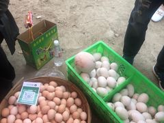-示范集贸市场