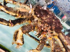 -青石桥市场北1-27号