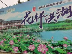 -洪湖生态旅游区