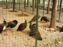 -山东艺术学院(长清校区)