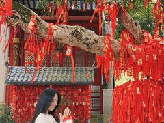 -国恩寺