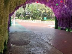 -泰安方特欢乐世界