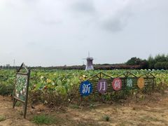 -武汉紫薇都市田园