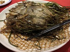 葱烧鸦片鱼-老吉士酒家(天平路店)