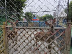 -萌宠亲子动物乐园(槐房万达店)