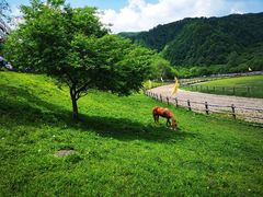 -大水川景区