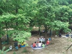 -白水寺森林公园
