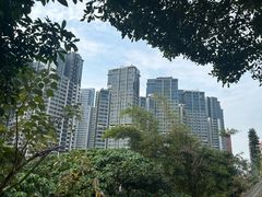 -石排湾郊野公园