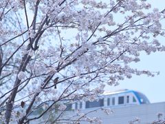 -堤角公园
