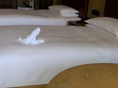 -三亚亚龙湾万豪度假酒店