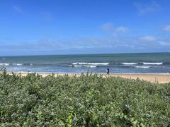 -巧克力渔家.小船海鲜胶东菜(万平口店)