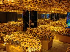 -梵高星空艺术馆(北京旗舰店)