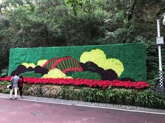 -金鸡山公园
