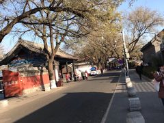 -北京国子监胡同