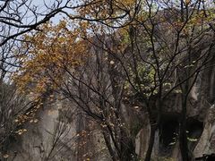 -秦岭终南山世界地质公园翠华山景区