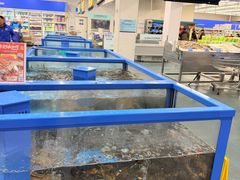 -麦德龙(浦东店)