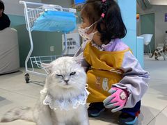 -怪兽屋·羊驼·猫咖·狗咖(俊华广场店)