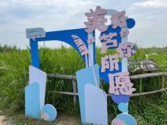 -宁波杭州湾国家湿地公园