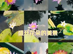 -上海辰山植物园