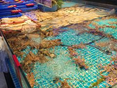 -驻海渔市(置信店)