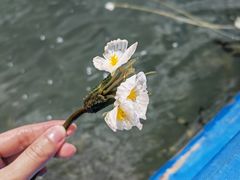 -丽江泸沽湖景区