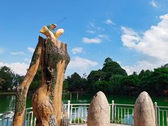 -蝴蝶泉公园