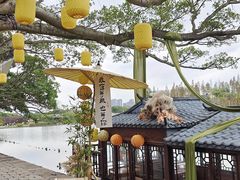 -江心屿景区