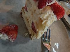 -Wagas沃歌斯(大学路店)