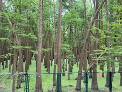 -青山湖景区
