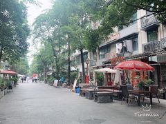 -泡桐树街