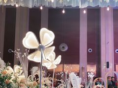 -多蒙德养生火锅