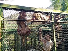 -藏龙百瀑风景区