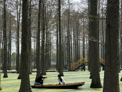 -渌洋湖湿地公园