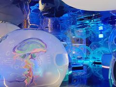 -水之梦(黄浦店)