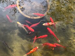 -新竹里馆·花园餐厅(兴苑路店)