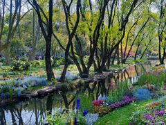 -上海共青森林公园