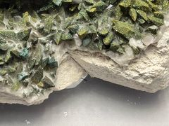 -湖南省地质博物馆