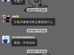 -伟伟宠物医院·CT影像中心·瑞派犬猫综合性门诊(汉口总院)
