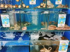 -小郭私房菜·海肠捞饭店(学士街店)