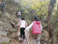 -杭州半山国家森林公园