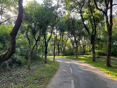 -燕晗山郊野公园
