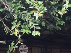 -疯狂屋