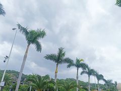 -白城沙滩