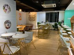 大堂-Husky Go! 哈士奇体验馆·宠物咖啡厅狗咖