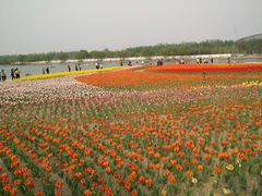 -廊坊文化艺术中心