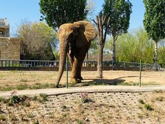 -石家庄市动物园